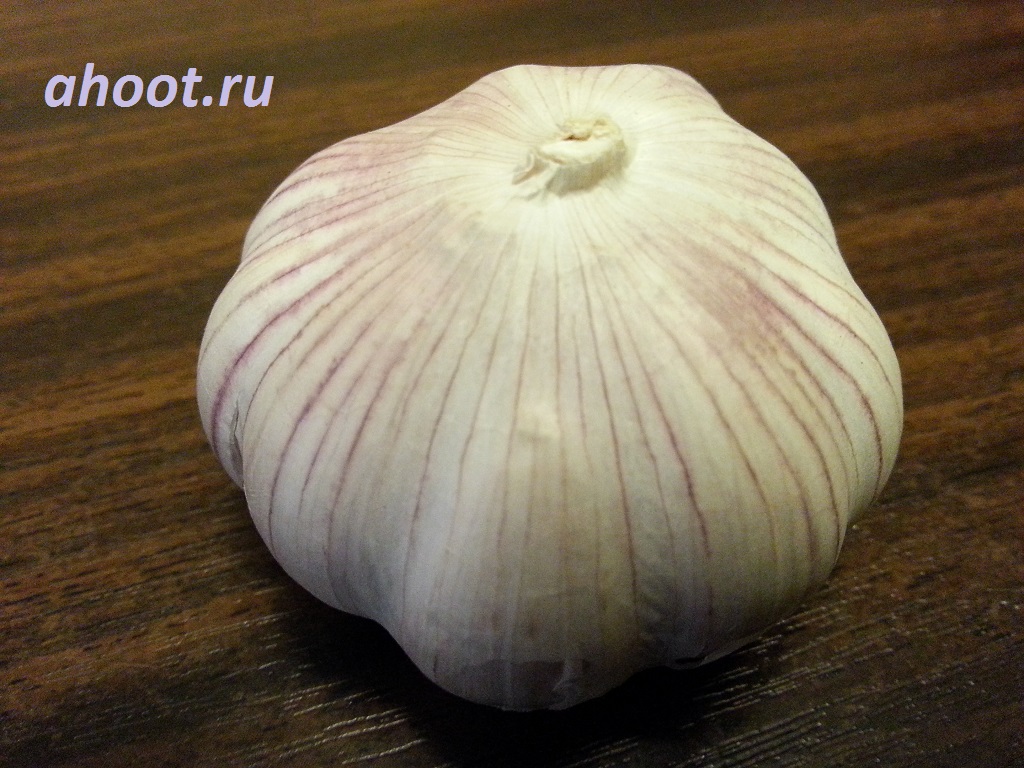 Головки для выращивания чеснока надо выбирать крупные и красивые | ahoot.ru
